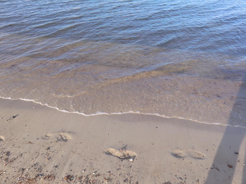 Boeltser Hus Ferienwohnungen Mit Strandkorb Und Kamin 10 Gehminuten Zum Kurtaxefreien Sandstrand Kraksdorf Eksteriør billede
